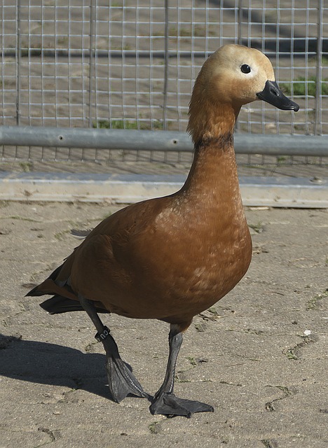 从小学到高