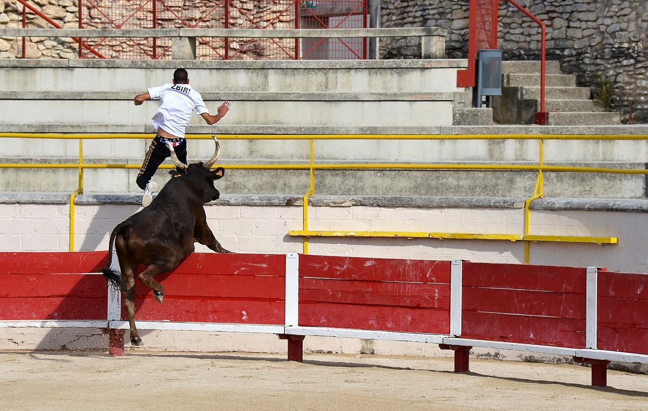 明确各自定