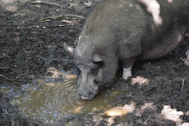 实力与智慧 实力与智慧