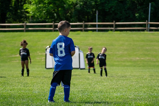 总统决定组 总统决定组