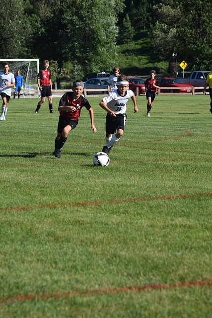 发展潜力 发展潜力