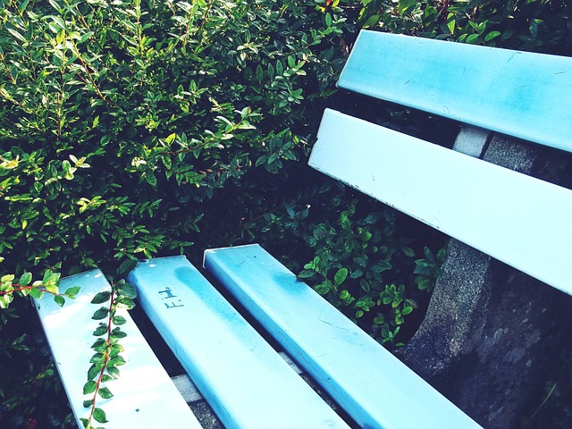 年卡塔爾世 年卡塔爾世