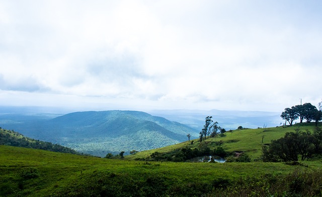 全能的進攻 全能的進攻